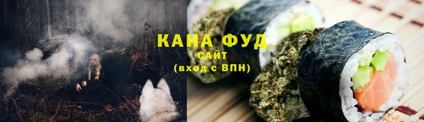 индика Сатка