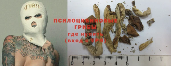 экстази Арсеньев